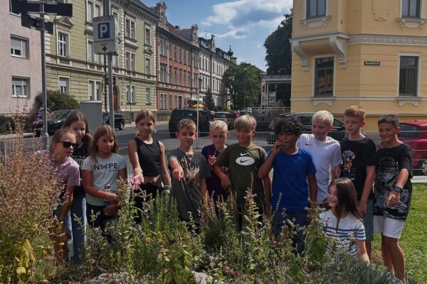 5_Sommerschule