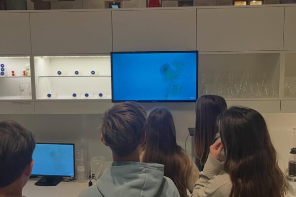 670526081_18108588941494827_7620250353904891043_n