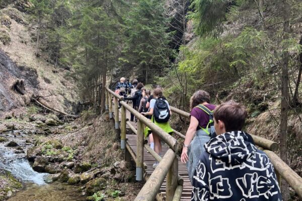 672384160_18108939290494827_4121019462837596477_n