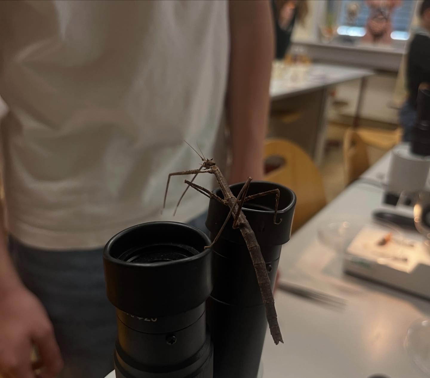 INFORMATION.VOR.MITTAG 🤩